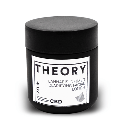Theory Wellness Great Barrington logo