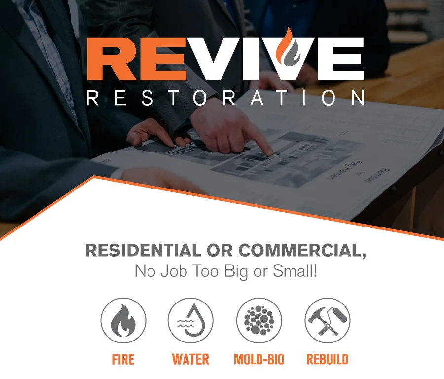 Revive Restoration