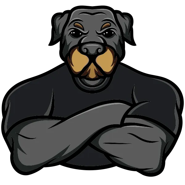 Big Dog Movers LLC
