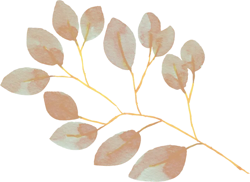 Liriodendron