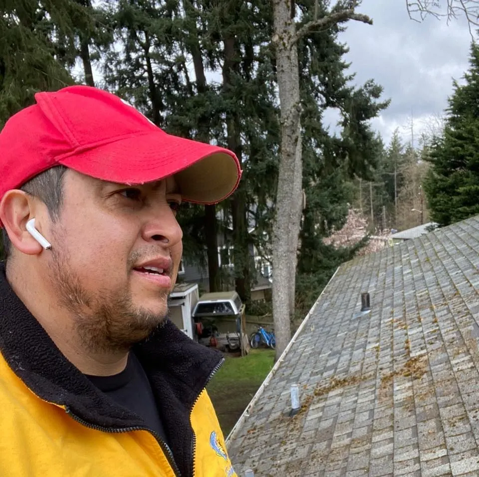 Rojo Moss Removal and Power Washing