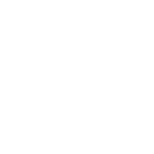 The Stedman Group