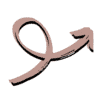 Allon-Z Coaching logo