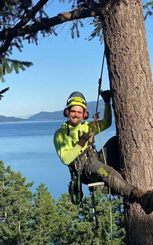 Seattle Tree Care