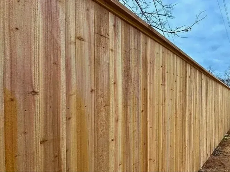 Vector Fence