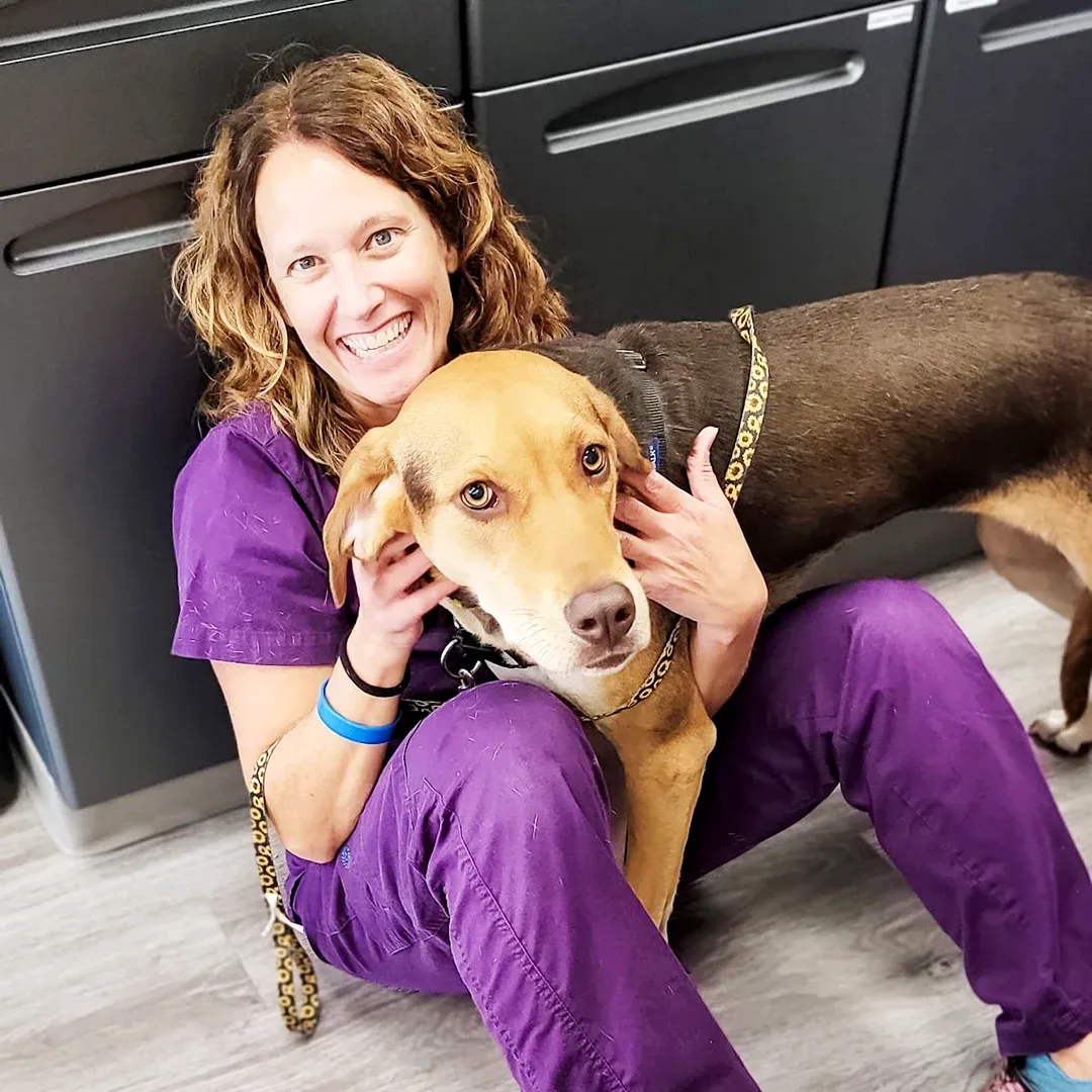 STATVet Animal Urgent Care - Cherry Street
