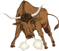 TORO LOCO (PORTSMOUTH) logo