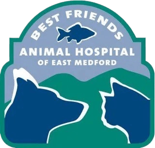 Best Friends Animal Hospital Of East Medford logo