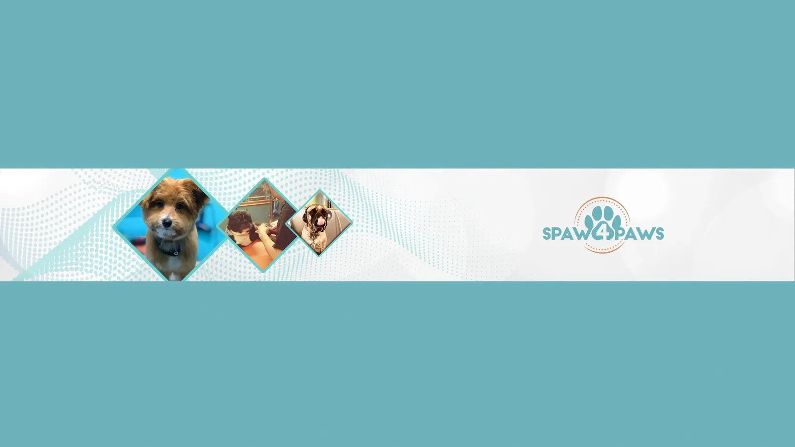 Spaw 4 Paws