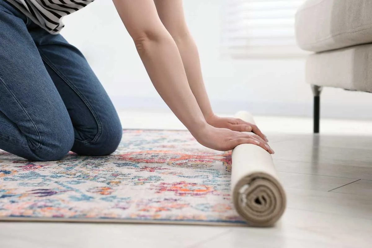 Daisy Carpet & Upholstery Cleaning