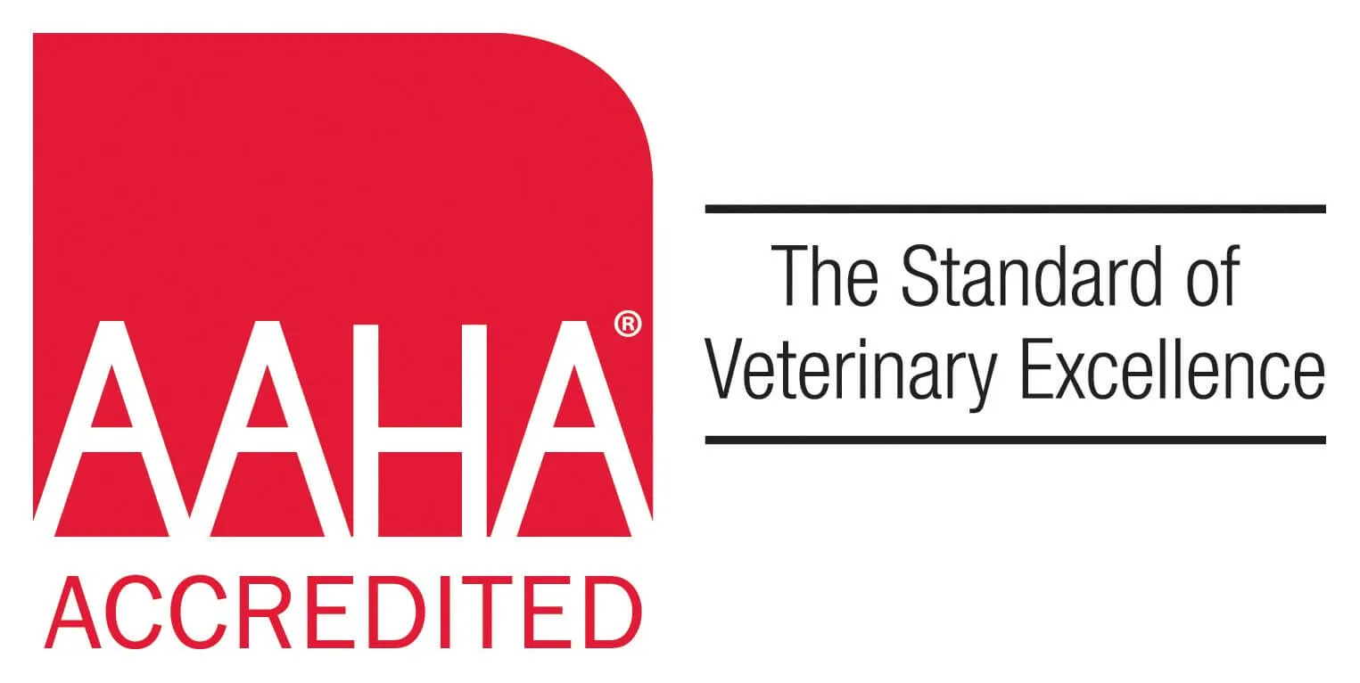 South Metro Animal Emergency Care