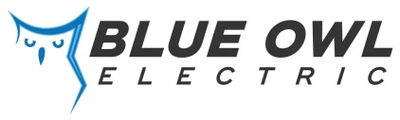Blue Owl Electric logo