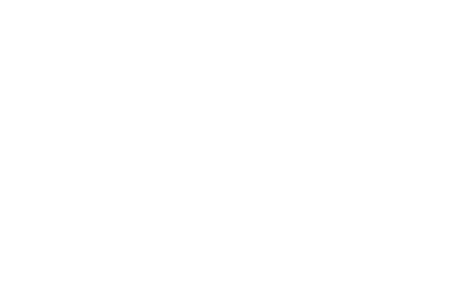 Mountain Wellness Dentistry