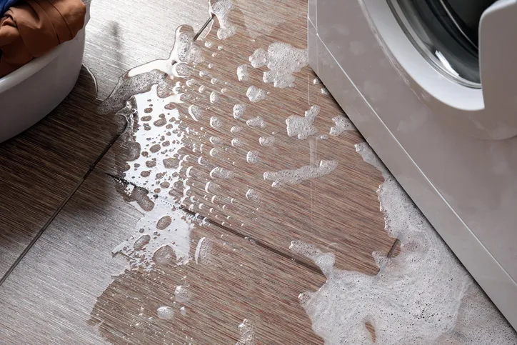 Octagon Cleaning & Restoration