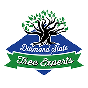 Diamond State Tree Experts logo