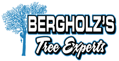 Bergholz's Tree Experts logo