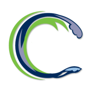 Custom Design Roofing LLC logo