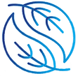 ANEW OUTLOOK logo