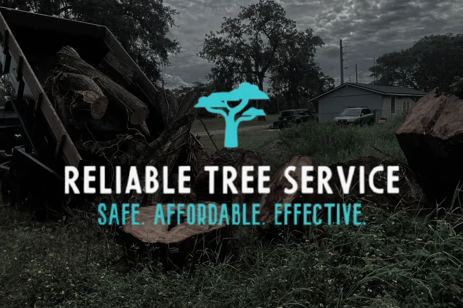 Reliable Tree Service