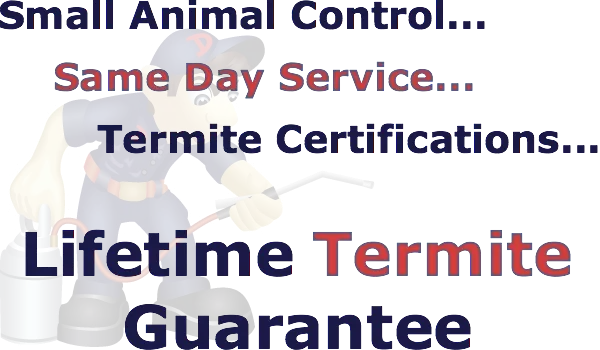 Dynamite Pest Control