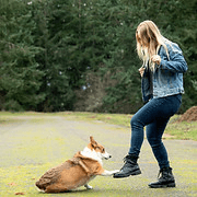 Pawsitive Results Dog Training & Behaior logo