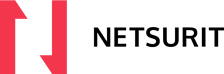 Netsurit logo