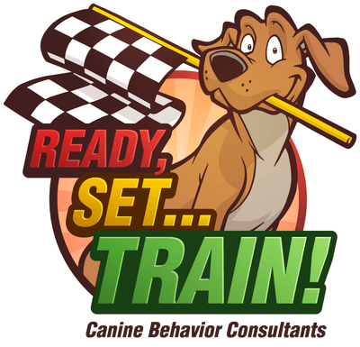 Ready, Set... Train! logo