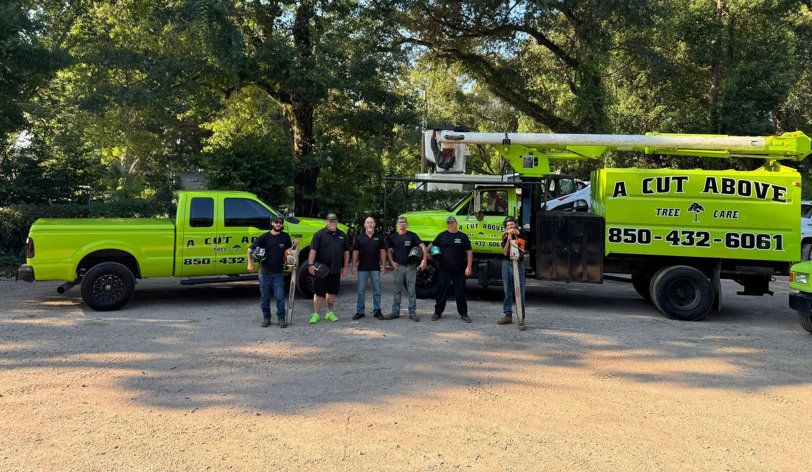 A Cut Above Tree Care, Inc.