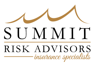 Summit Risk Advisors logo