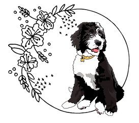 4 Paws Pet Care logo