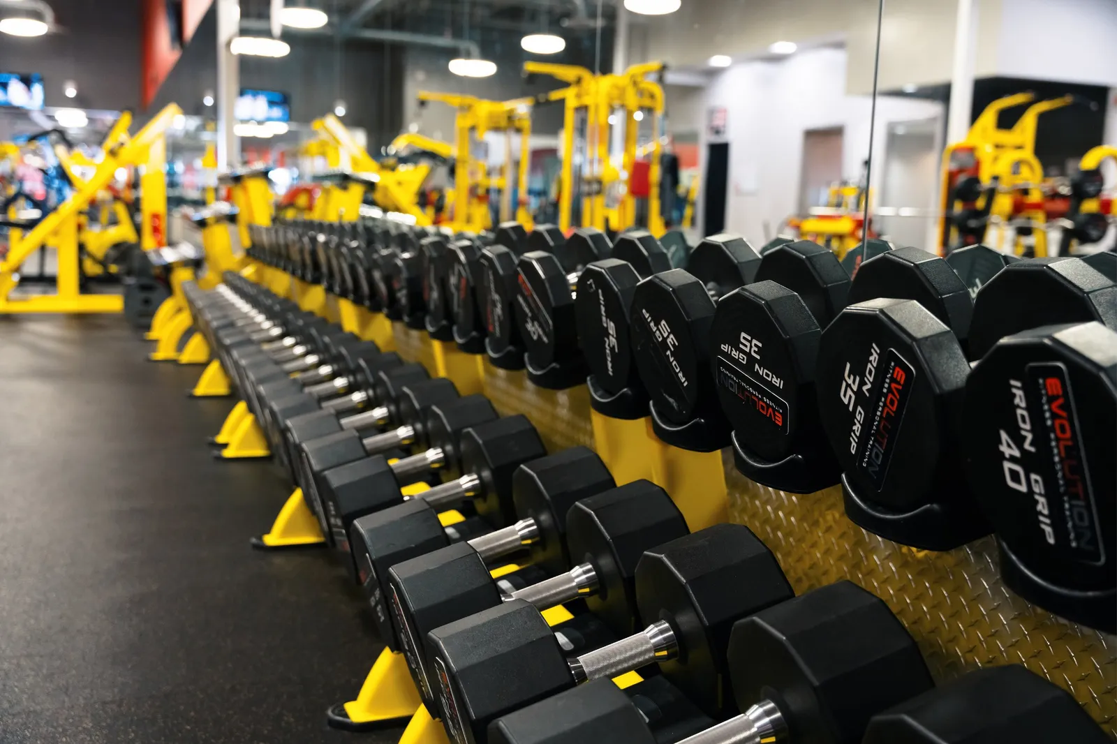 Evolution Fitness