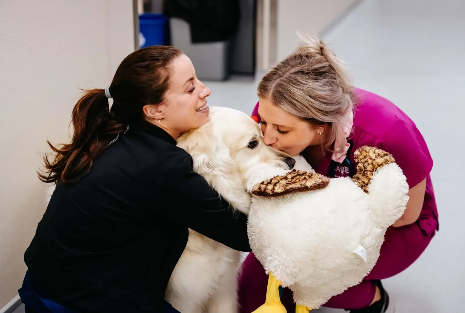 Anne Arundel Veterinary Emergency Clinic