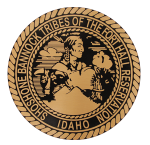 Early Childhood logo