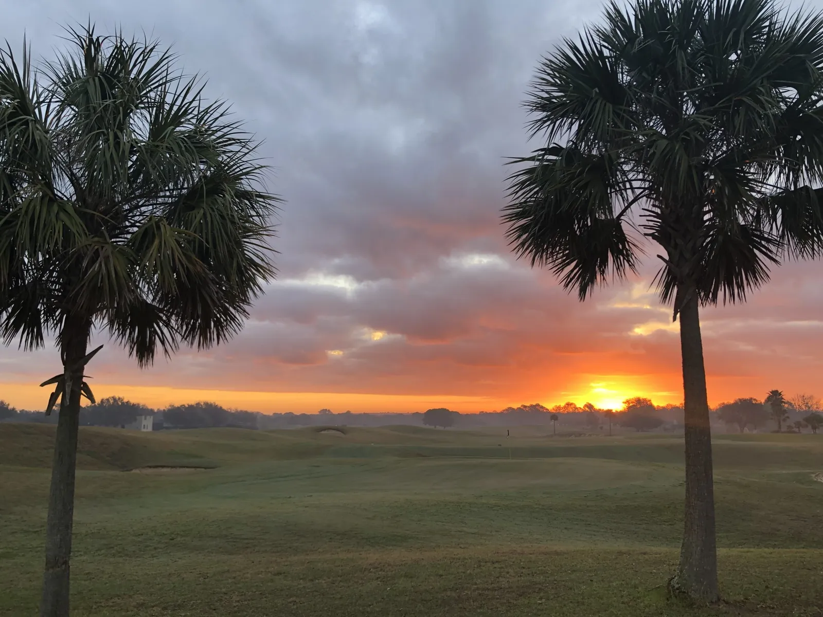 Black Bear Golf Club