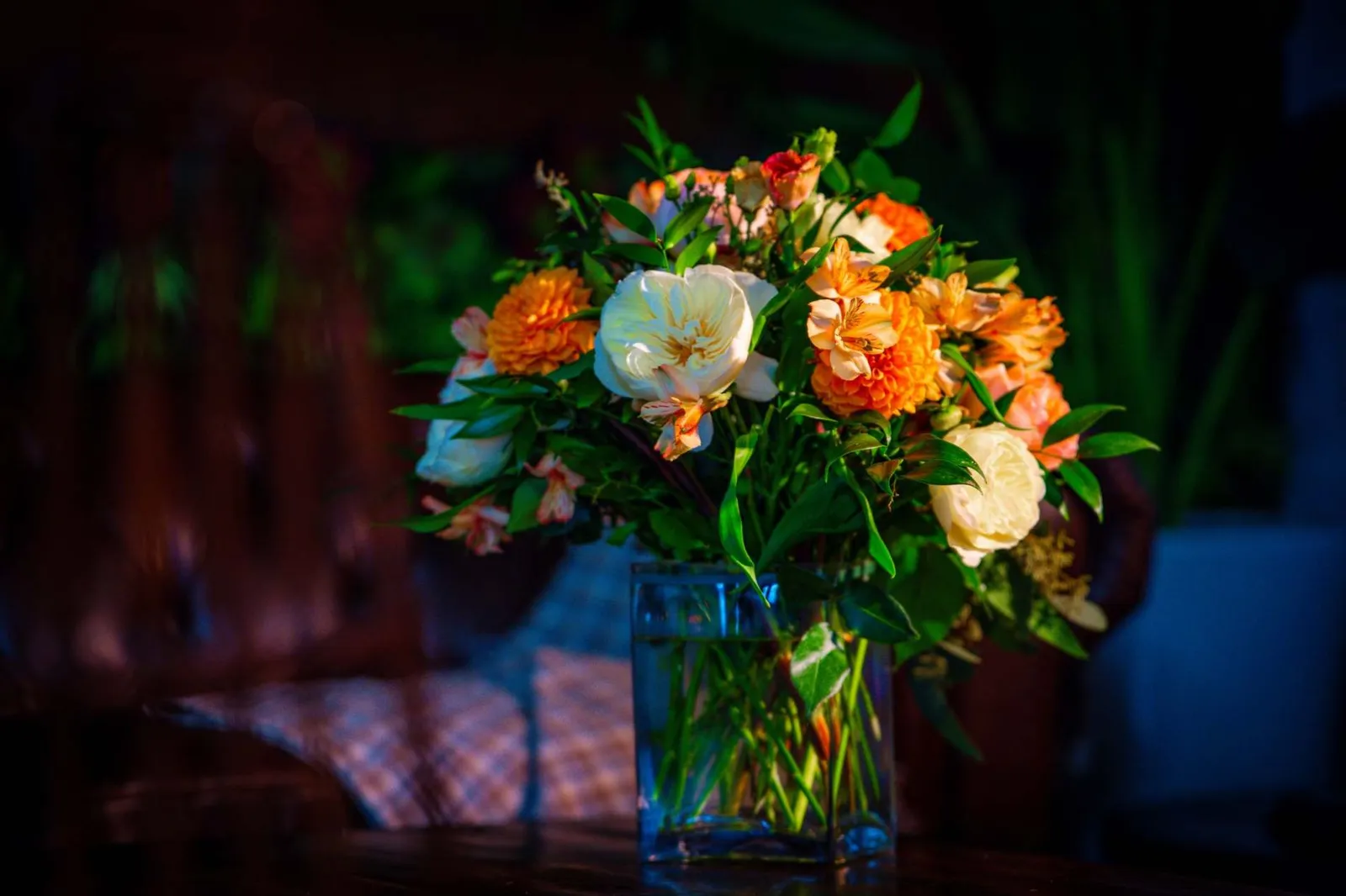 BloomNation