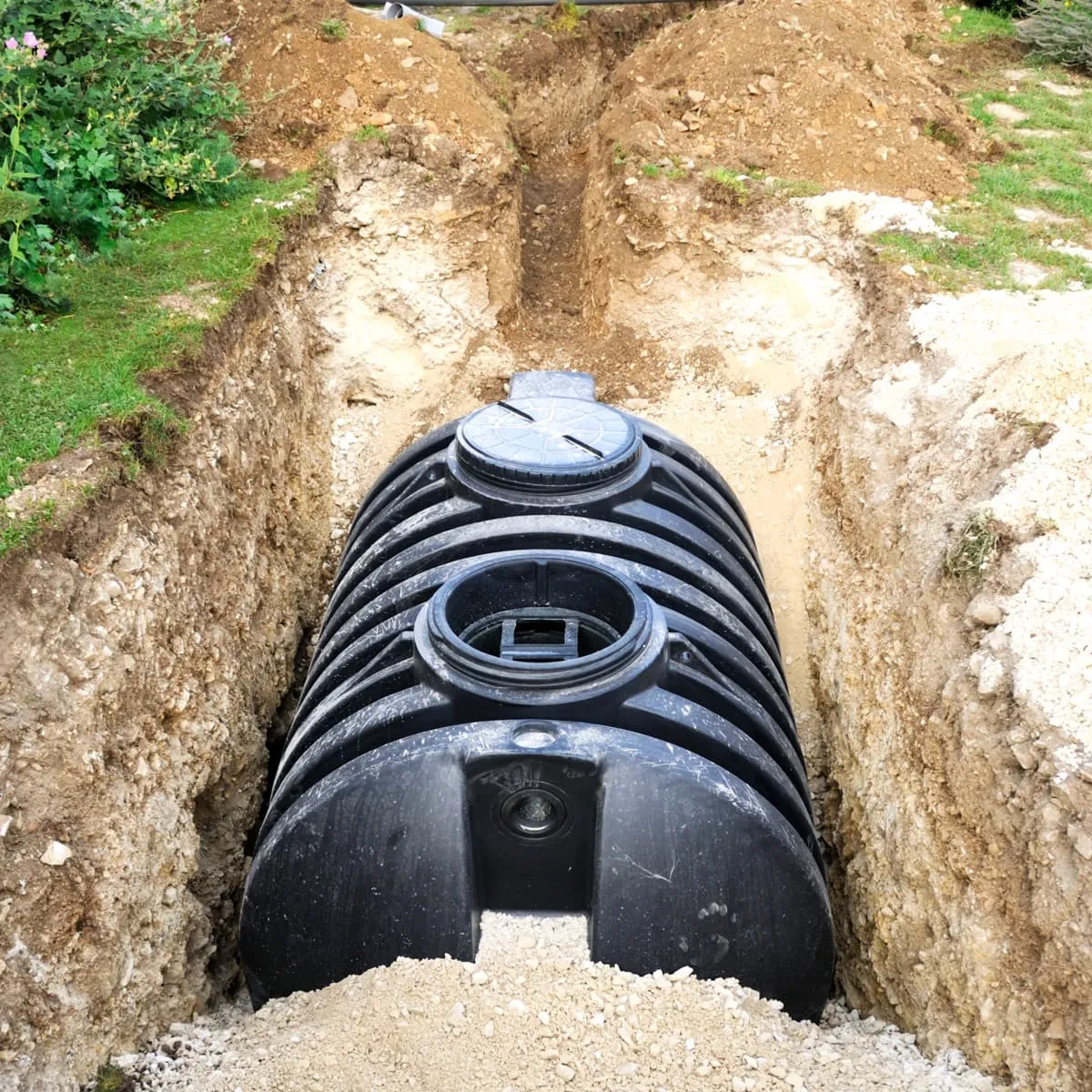 Septic Advisor