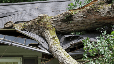Damage Restoration in Michigan logo