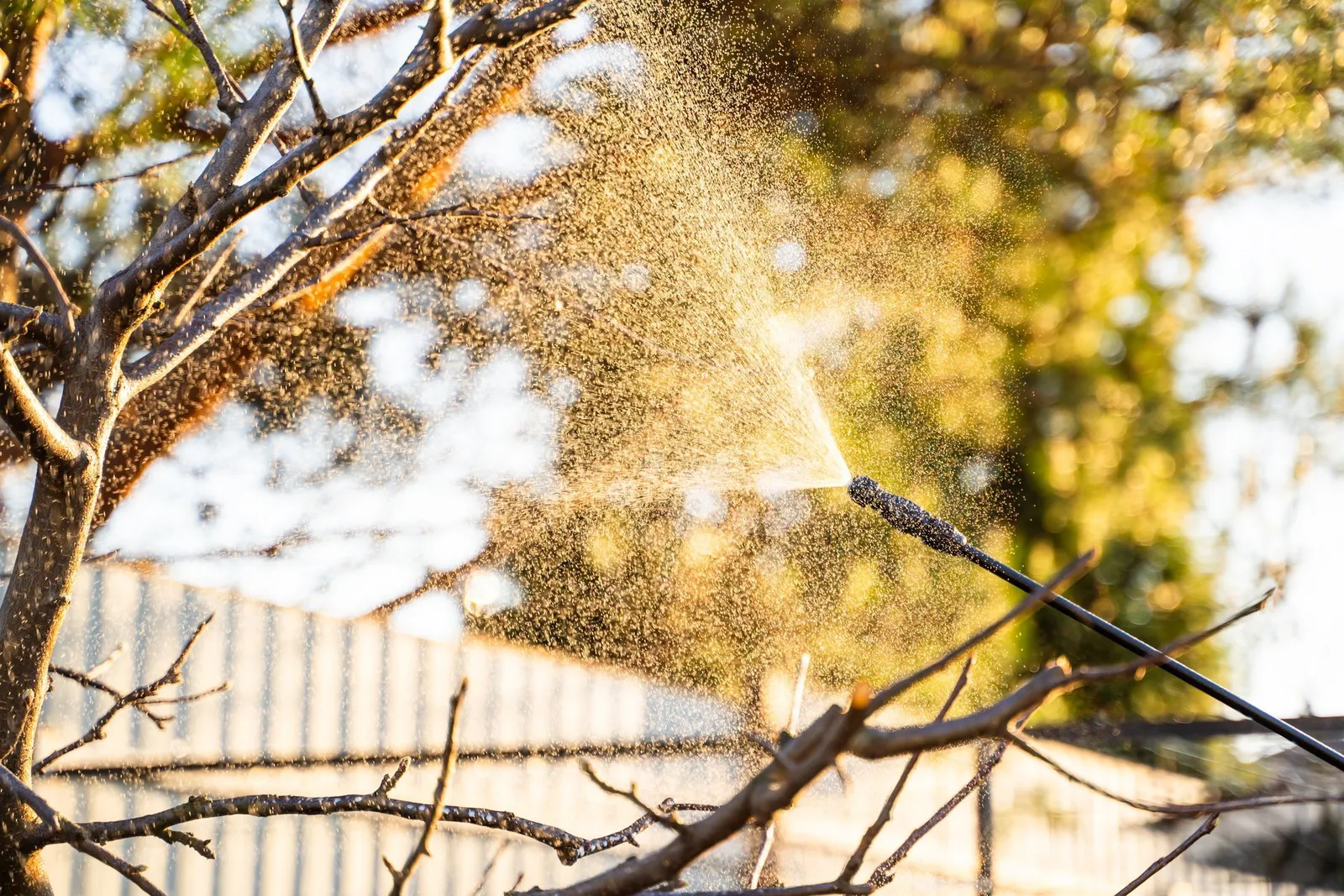 Northeast Tree Care and Pest Control