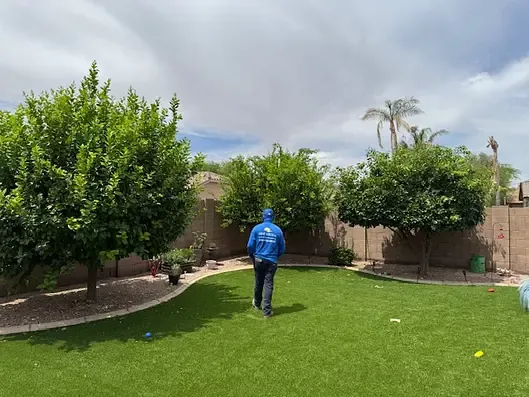 Radiant Landscape Maintenance