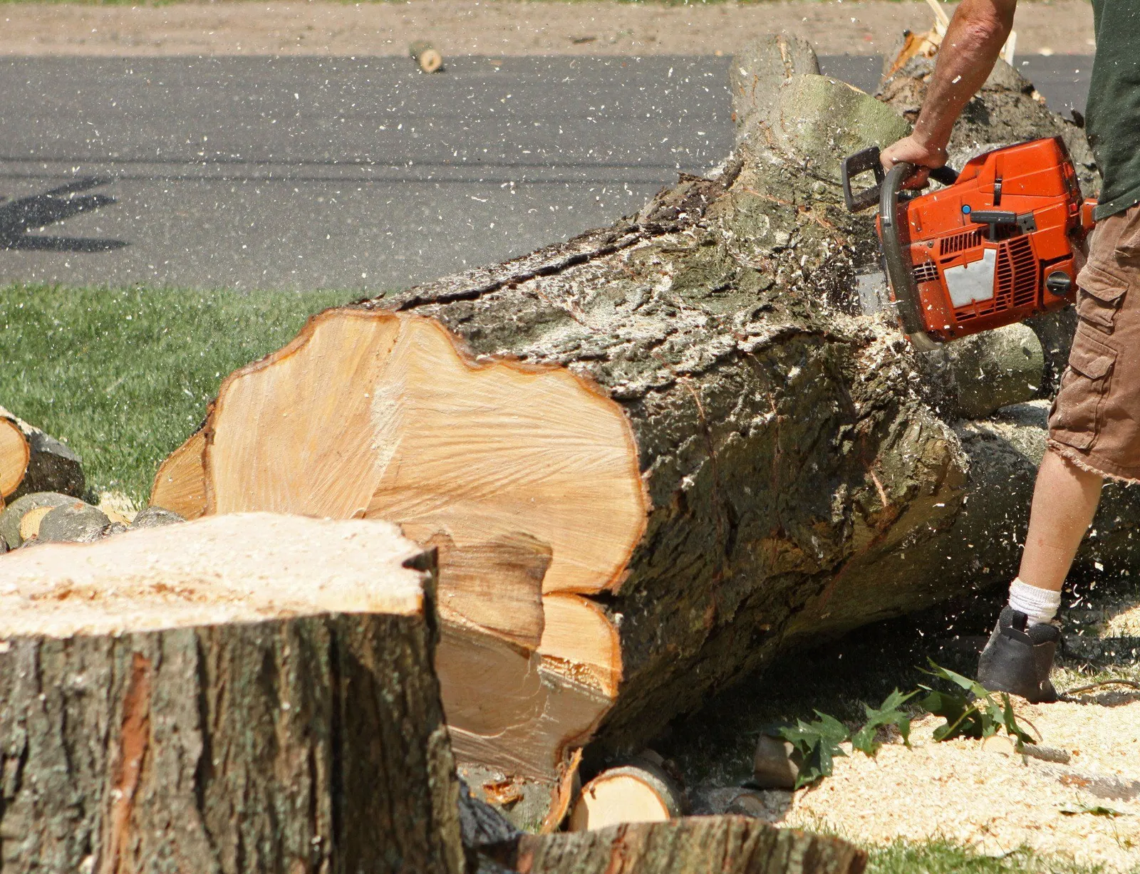 Jose Martinez Tree Service, Inc
