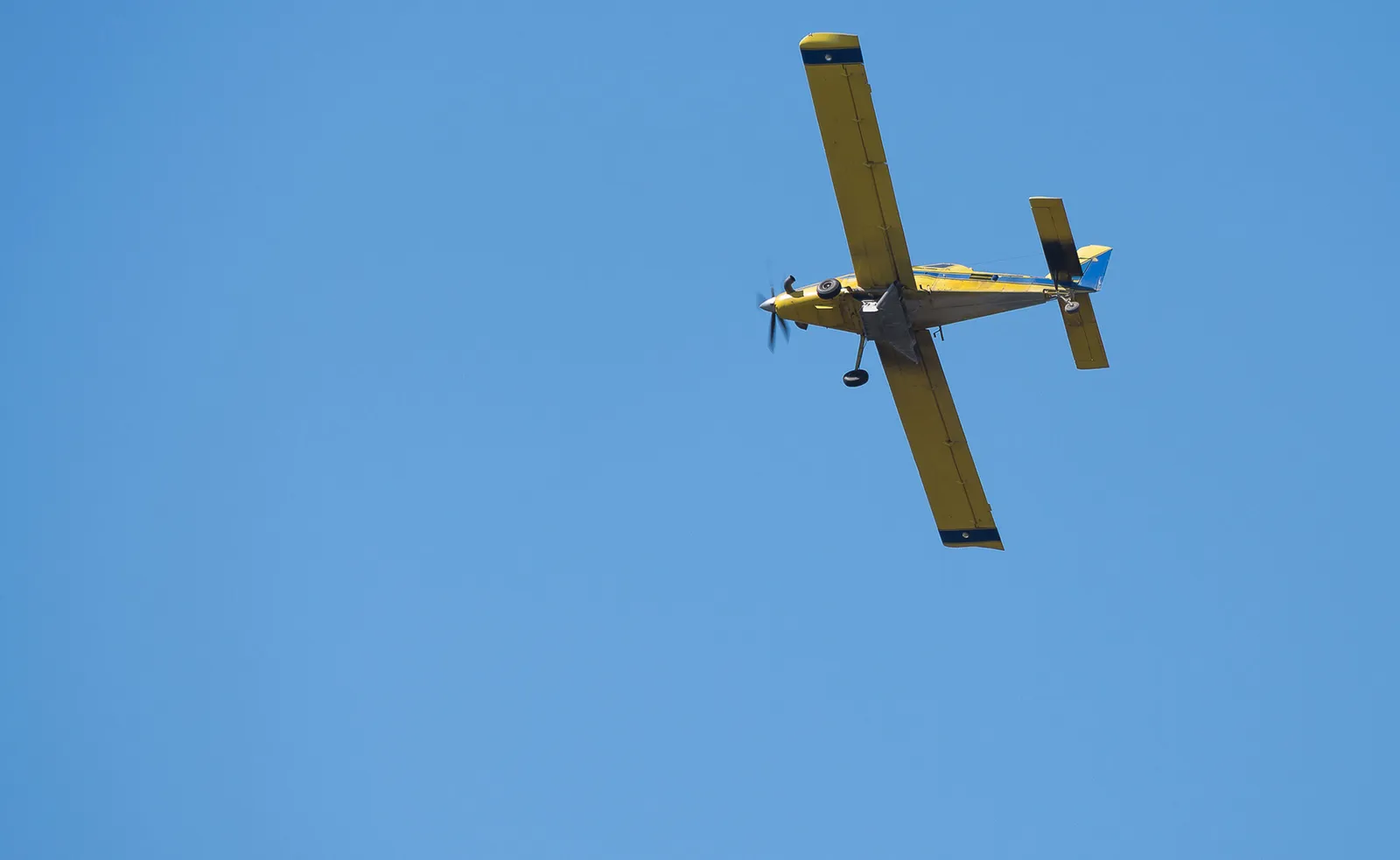 SS Sprayers