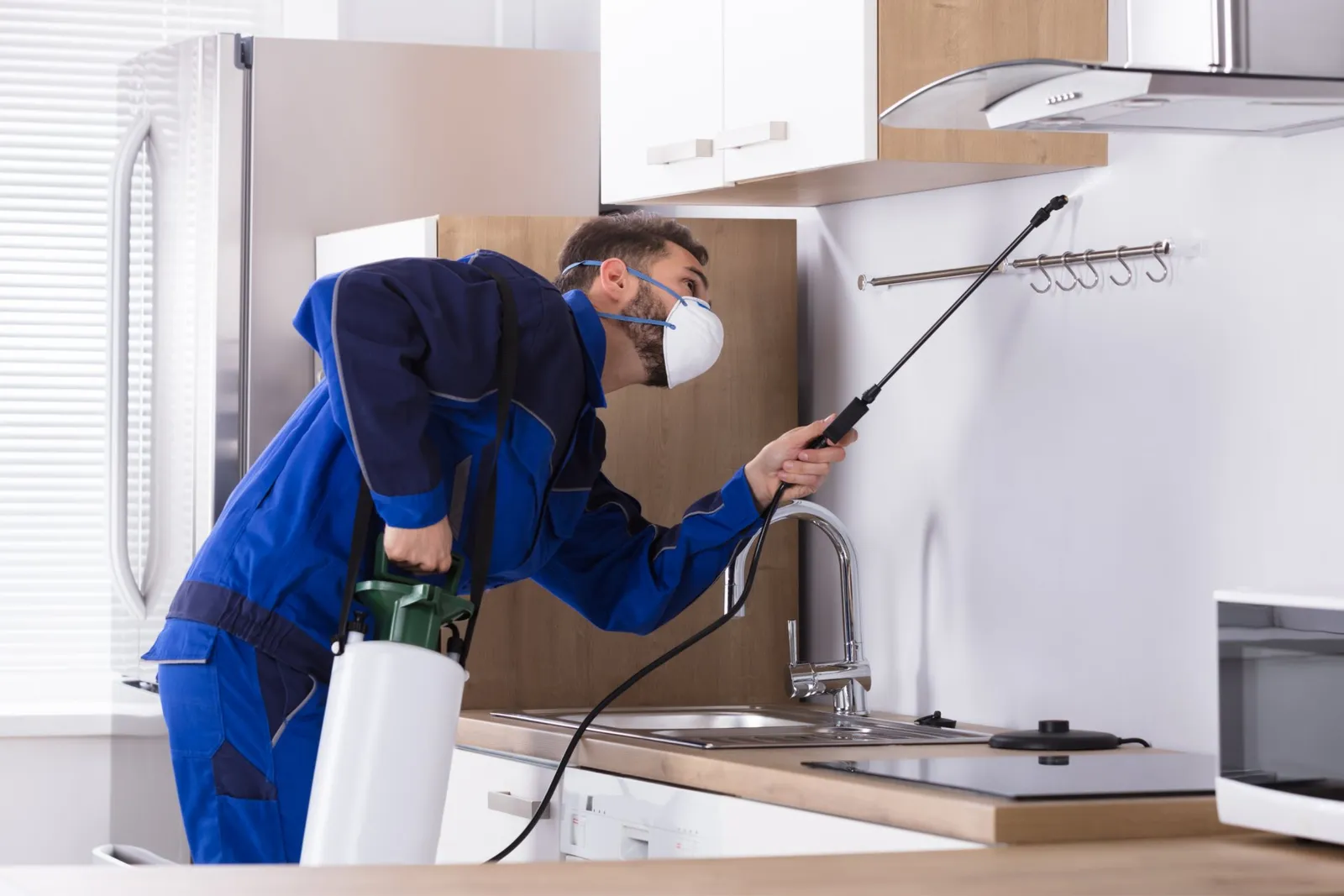 Baltimore Pest Control Exterminators