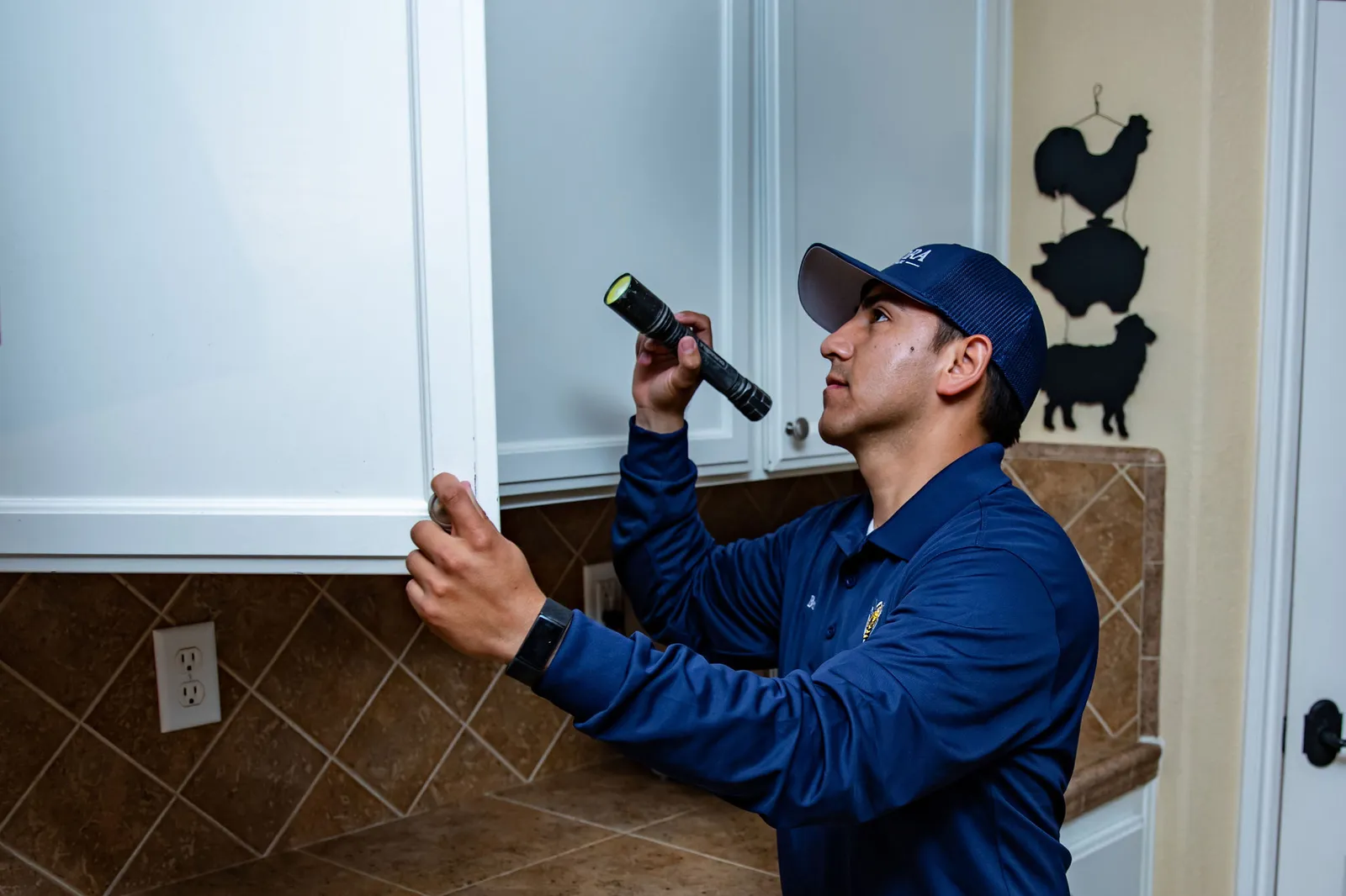 Valora Pest Control