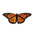 Monarch logo