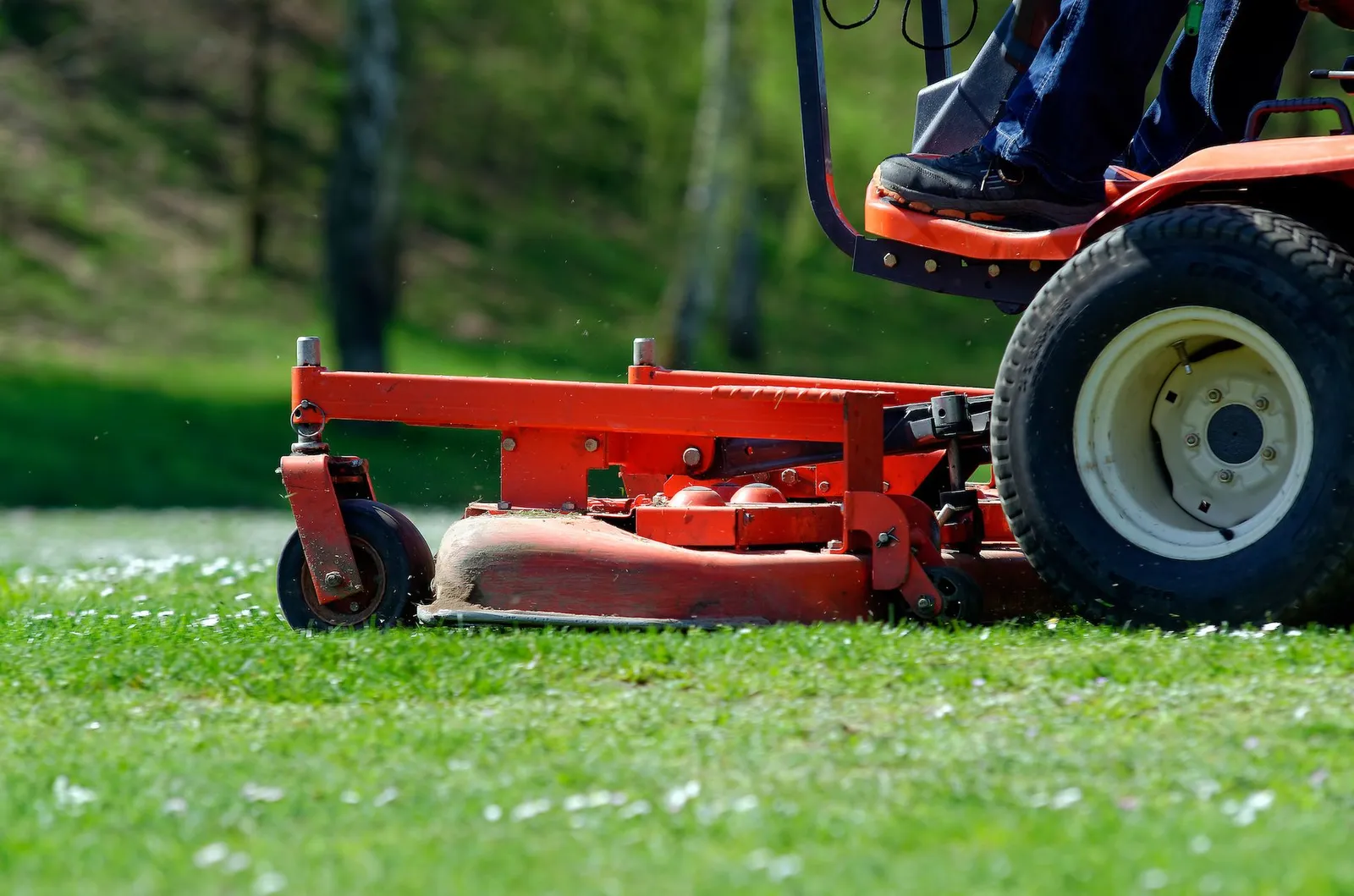 IWYNN Lawn Services LLC