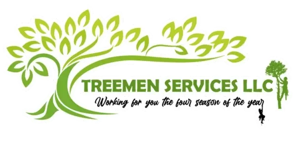 Treeman services