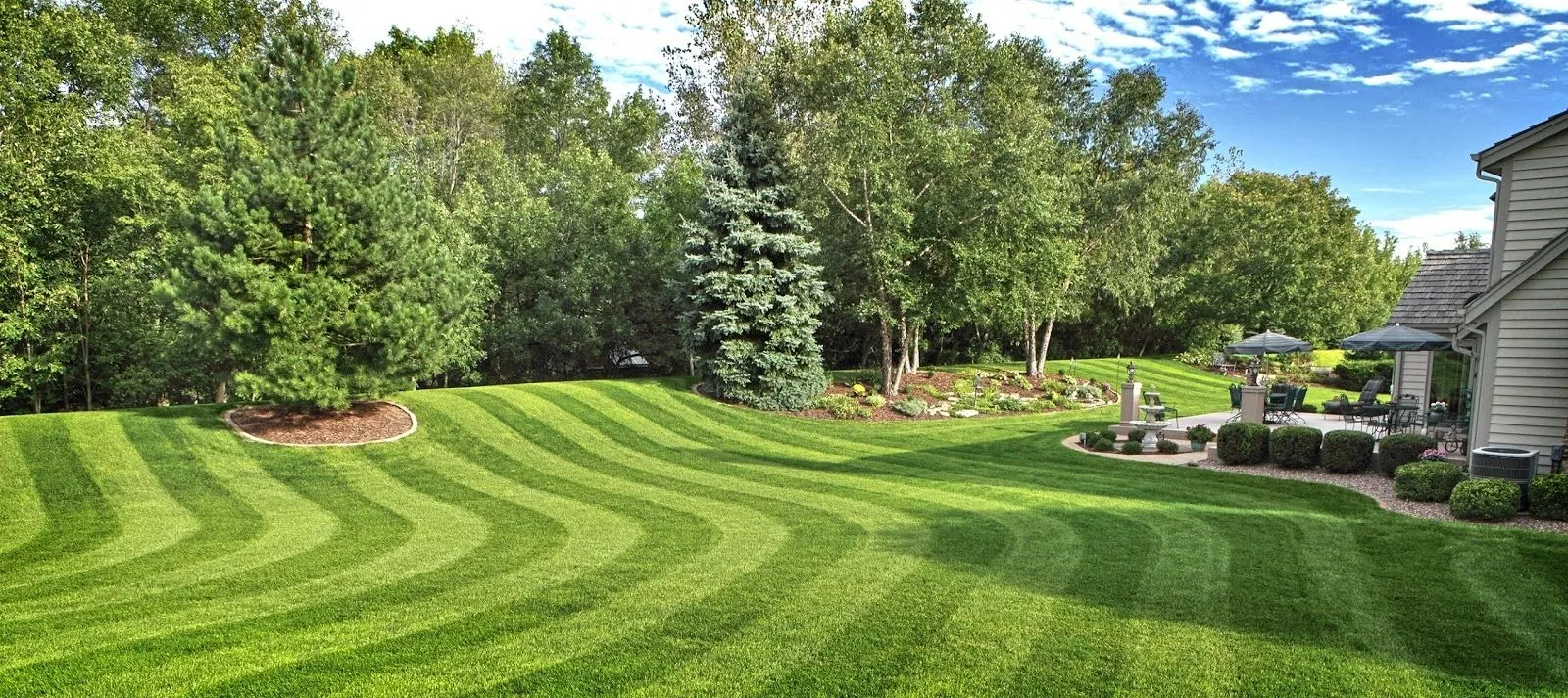 The Sod Pros Landscape