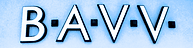 Bay Area Vein and Vascular Center logo