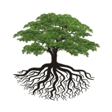 The Bridge at Ocala logo