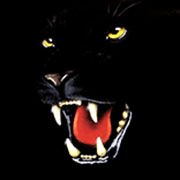 Crawling PantherTattoo logo